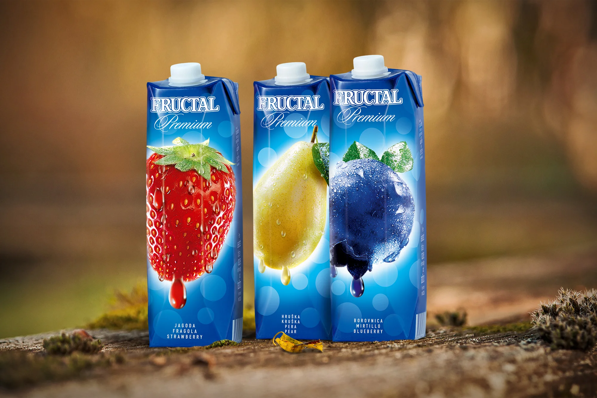 prizme-fructal.jpg