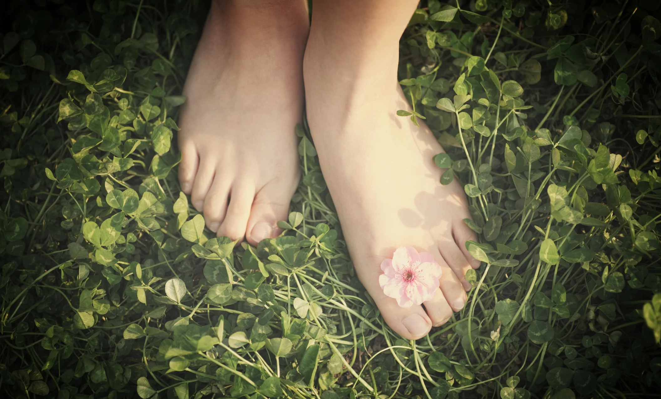 websitecover.jpg