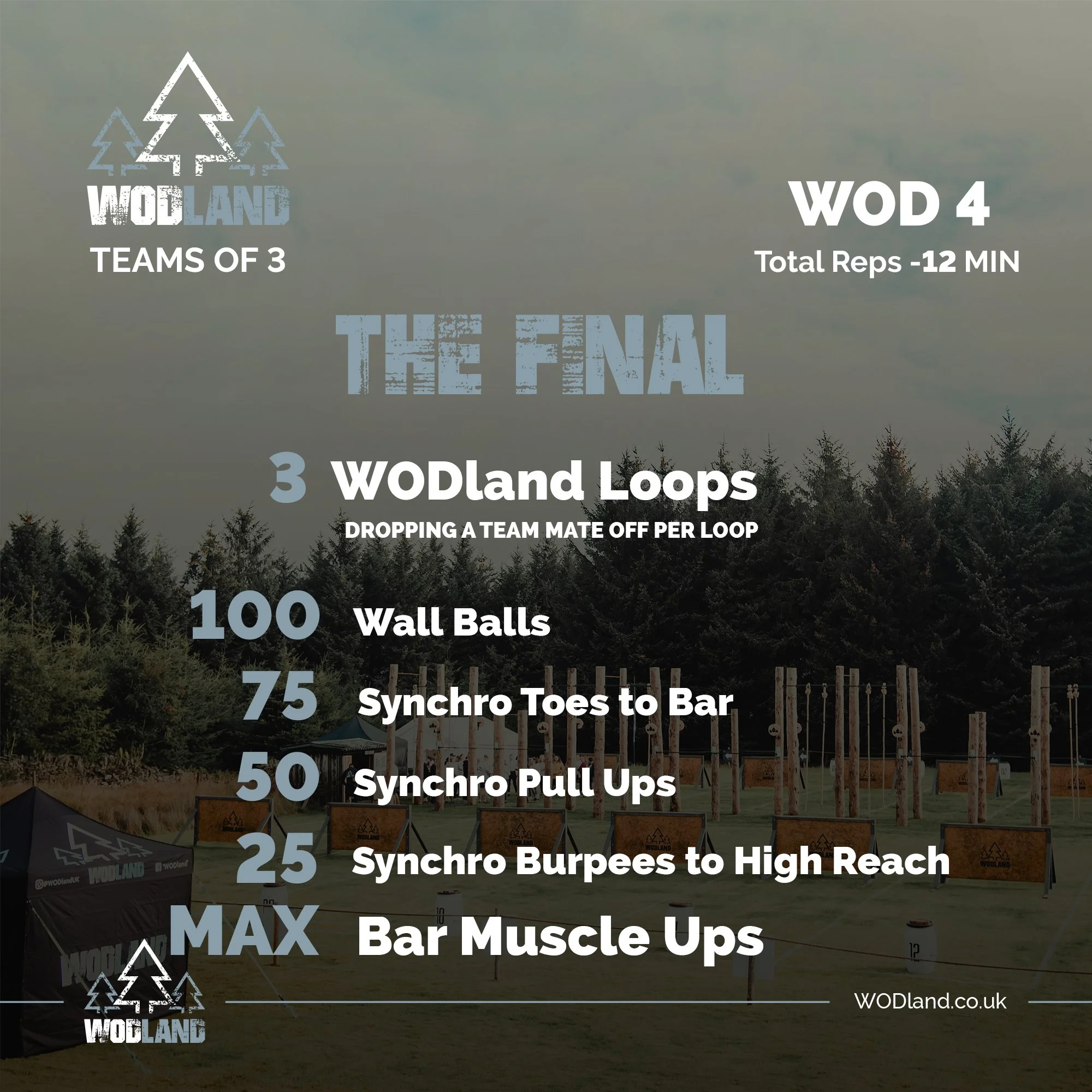 🌲The Final🌲

TOTAL REPS - 12 Min

3 - WODland Loops
Dropping a team mate OFF per loop

100 - Wall Balls (F-6kg/M-9kg)
75 - Synchro Toes to bar (in 2's)
50 - Synchro Pull Ups (in 2's)
25 Synchro Burpees to High Reach (n 2's)

REMAINING TIME:
MAX - B