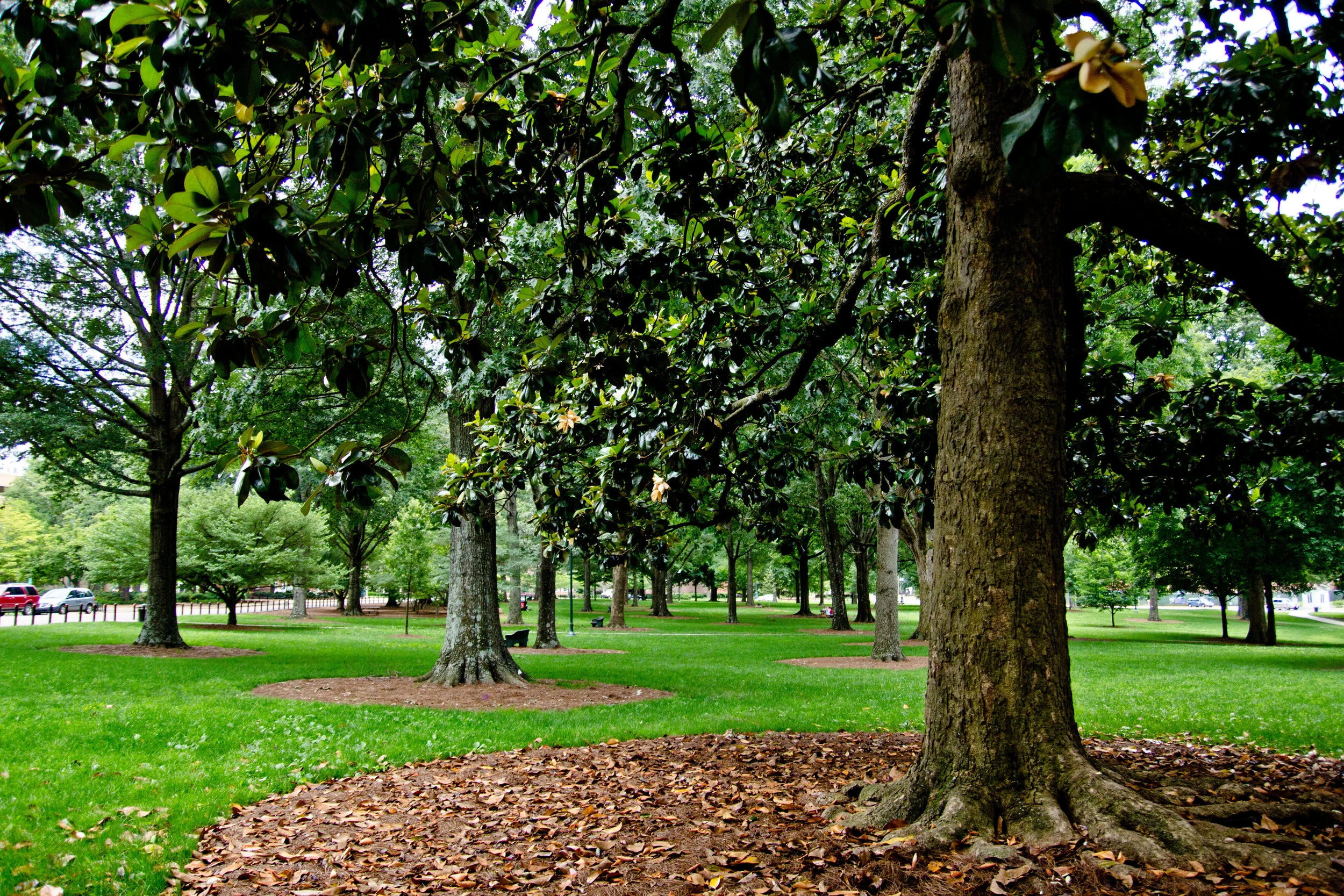 AdobeStock_Shaw_Place_East_Jackson_Oxford_MS.jpeg