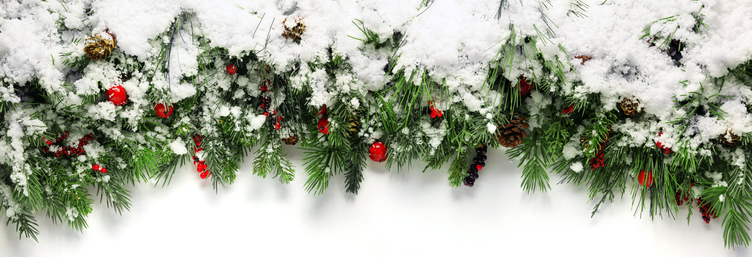 AdobeStock_128231333.jpeg