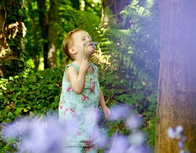 Eloide in the woods