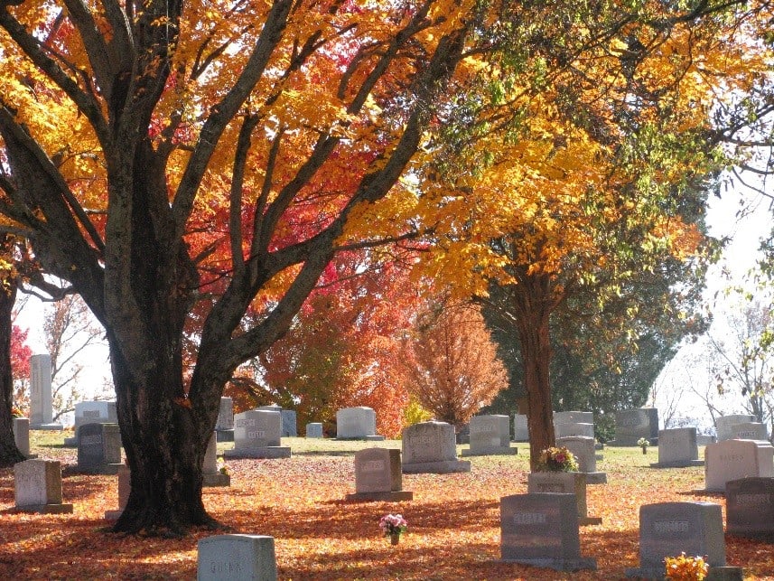 grandview.jpg