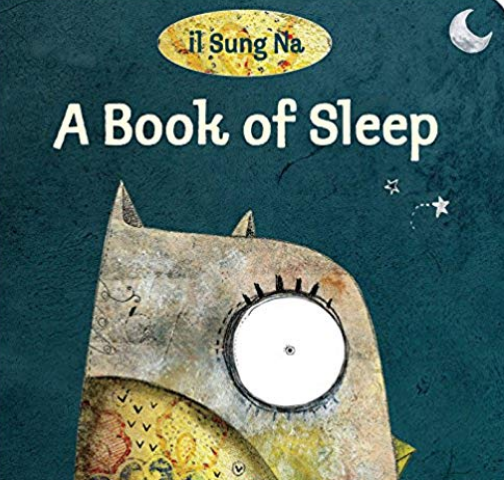 A Book of Sleep