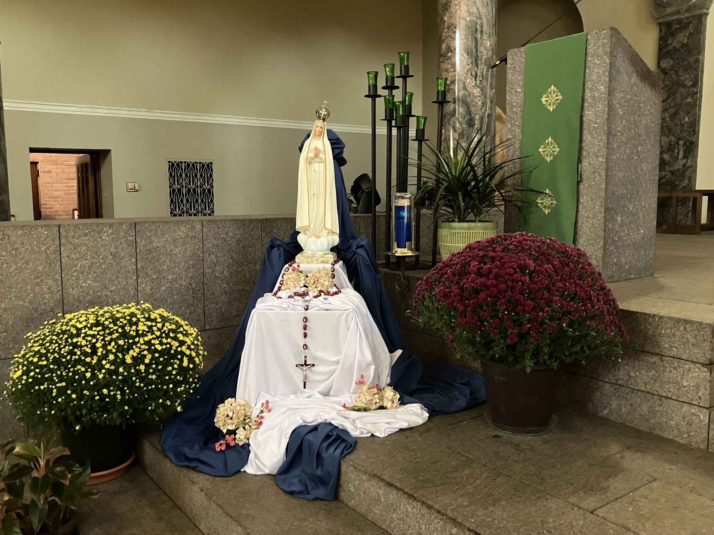 IMG_1036.jpg