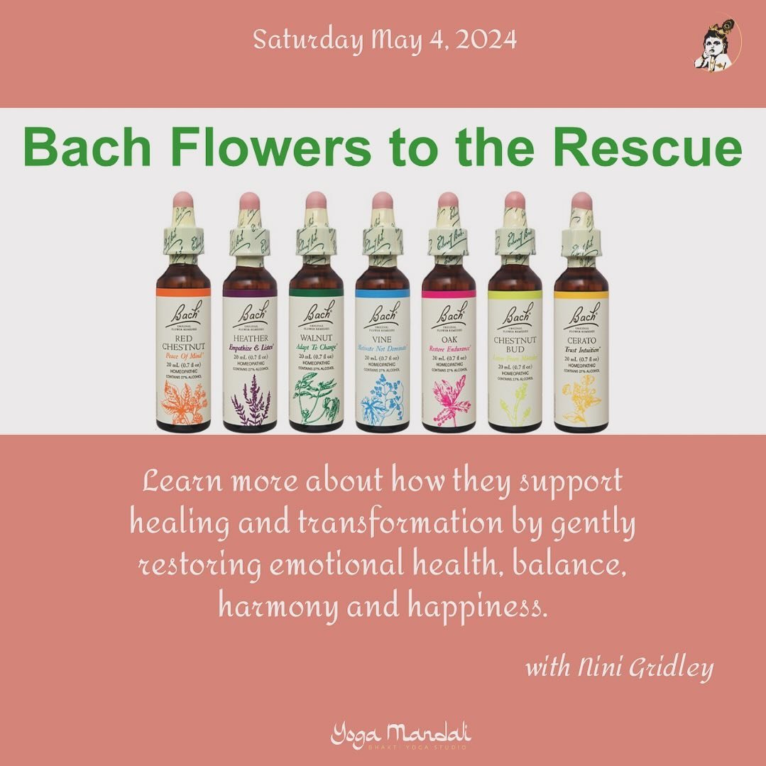 Join @nini_gridley for this informational session on #BachFlowers and how they can be used in your everyday life! 

5.4.24
10:00am-11:30am
$20