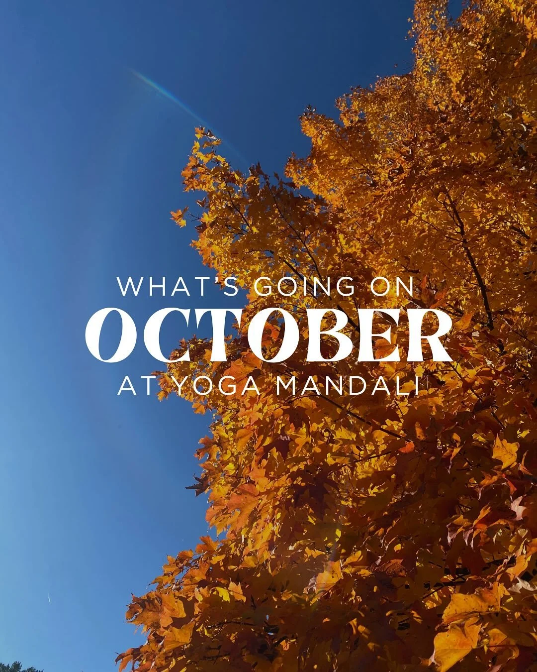 Can&rsquo;t believe October is nearly here, we are booked and busy!

Scroll through this carousel to browse our calendar of events for October. Here are some highlights:
* MANY reiki and sound healing opportunities
* Fall leaves + meditation = bliss

