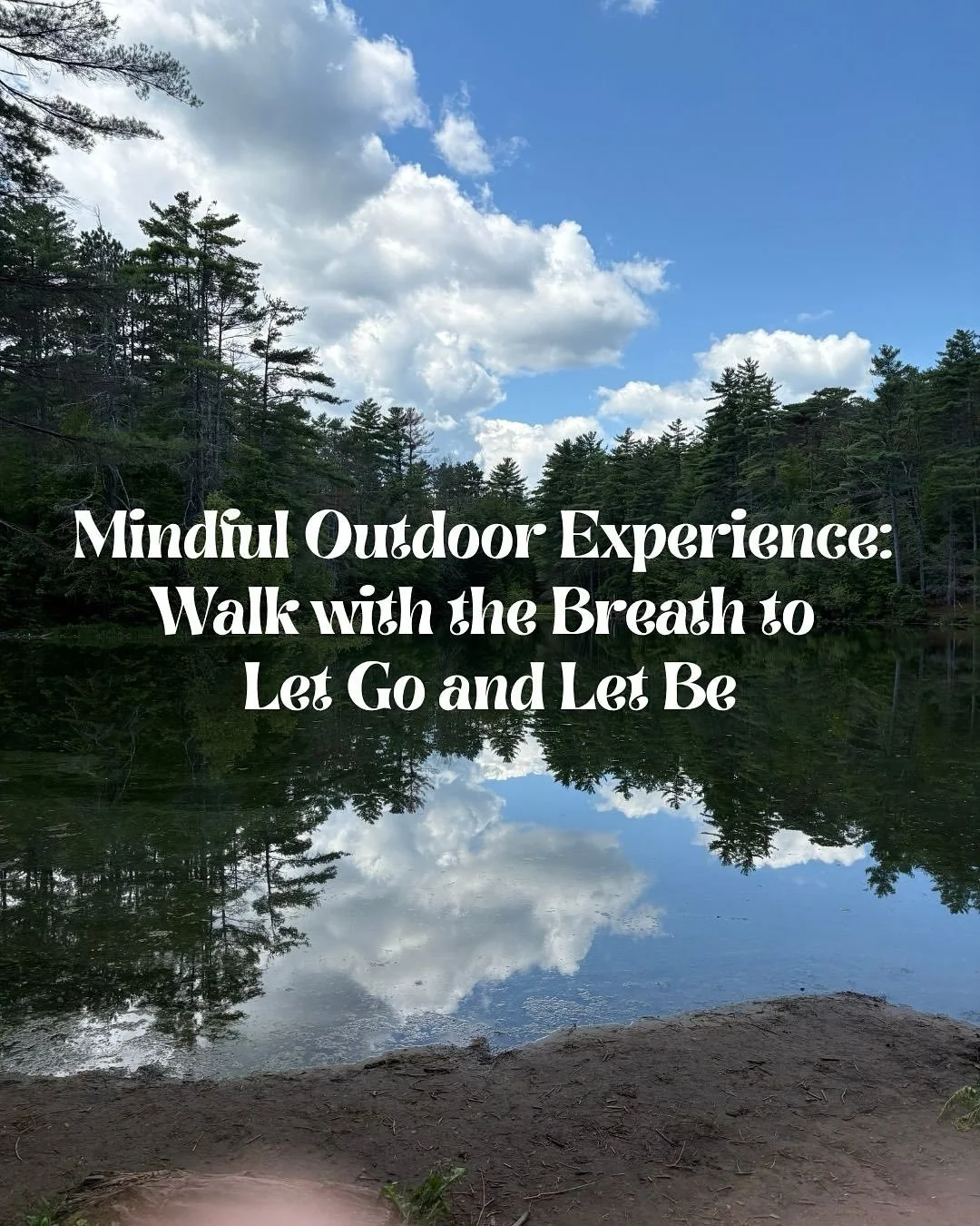 Step into the quiet beauty of the autumn forest and let nature guide you toward balance and renewal. 😌

This two-hour mindful outdoor experience combines: 
🌬️ gentle breathwork
🤲 sensory exploration
🌳 and forest connection to help you release wha