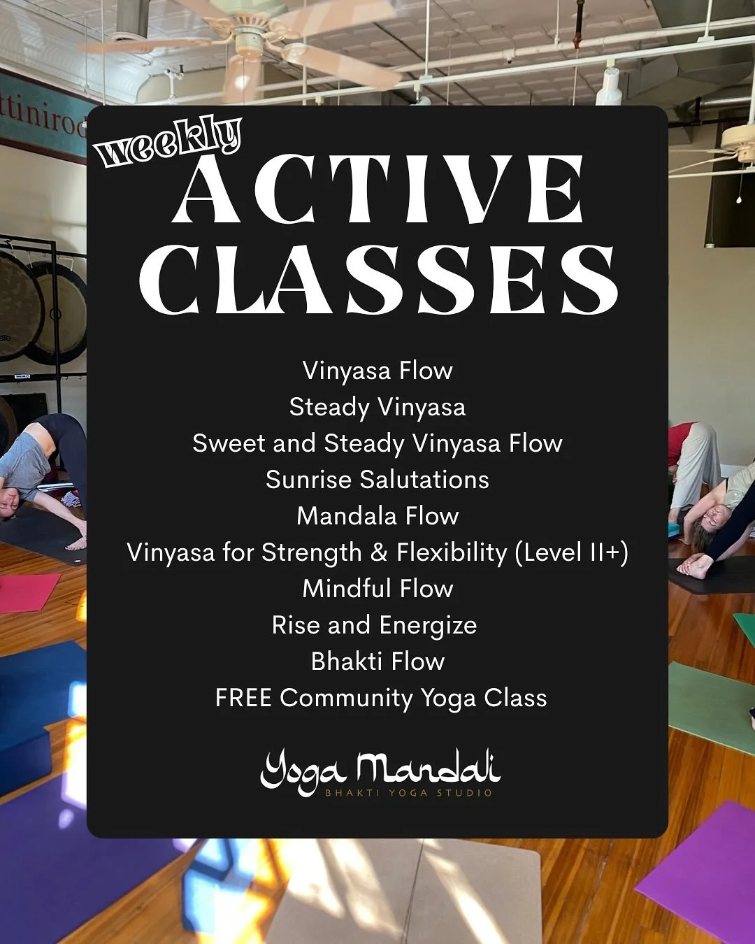 Our weekly schedule includes something for EVERY BODY.
Our active classes mostly focus on vinyasa, connecting breath and movement, and building heat in the body. Each teacher puts their own spin on their own class, so we have many options to choose