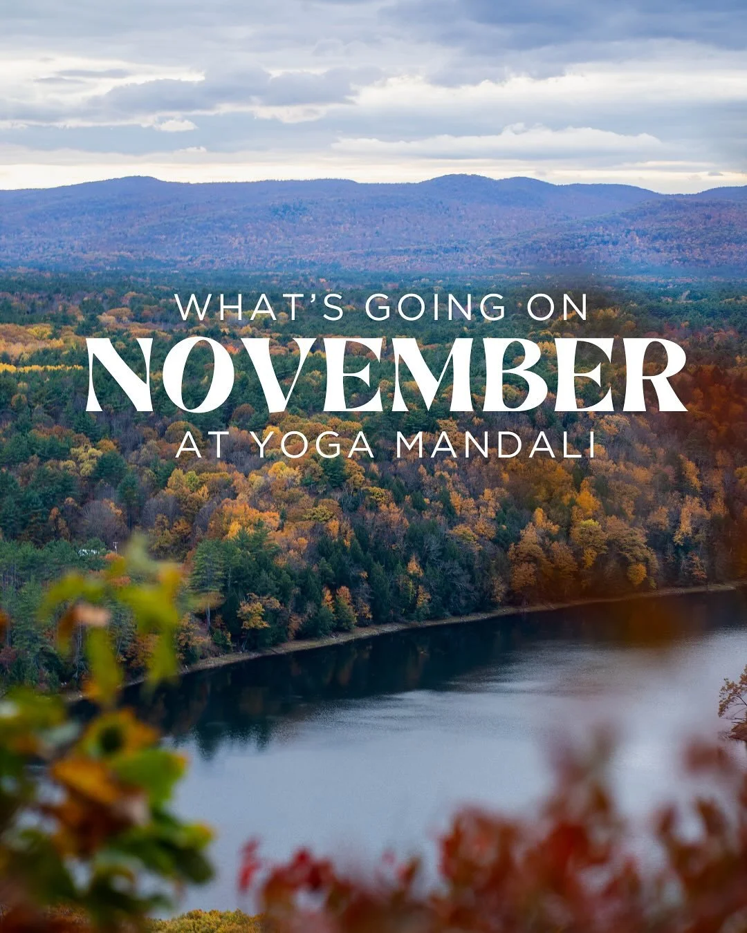 November is the month for coming together as a community and practicing gratitude. We have several events this month to get you ready for the holiday season of giving 🧡

#freeyoga #ffl #givegratitude #gratitude #fallback #reikihealing #gongbath
