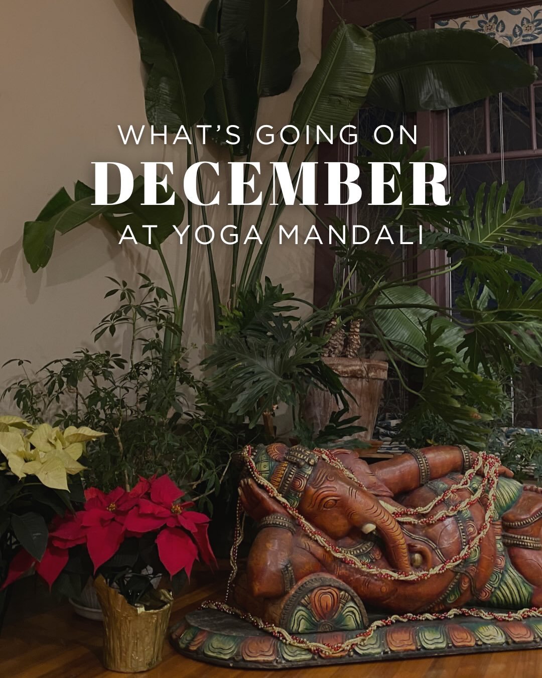 Invite some love and light into these dark winter days ❄️🕯️🔥

Some highlights for this month:

🔮✨ Rest and find stillness, balance your energy, tune into the healing vibrations of @claudiabibow crystal bowls

🎅🏼🦌 Young children are invited to r