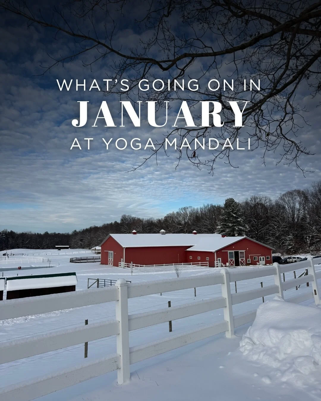 January is full of workshops to bring more movement, bodywork, music, mindfulness, and compassion into your life. Join us in the studio for some extra love and TLC this time of year. ❄️❄️❄️

#january2026 #livemusicyoga #menopause #yogaforbonehealth #