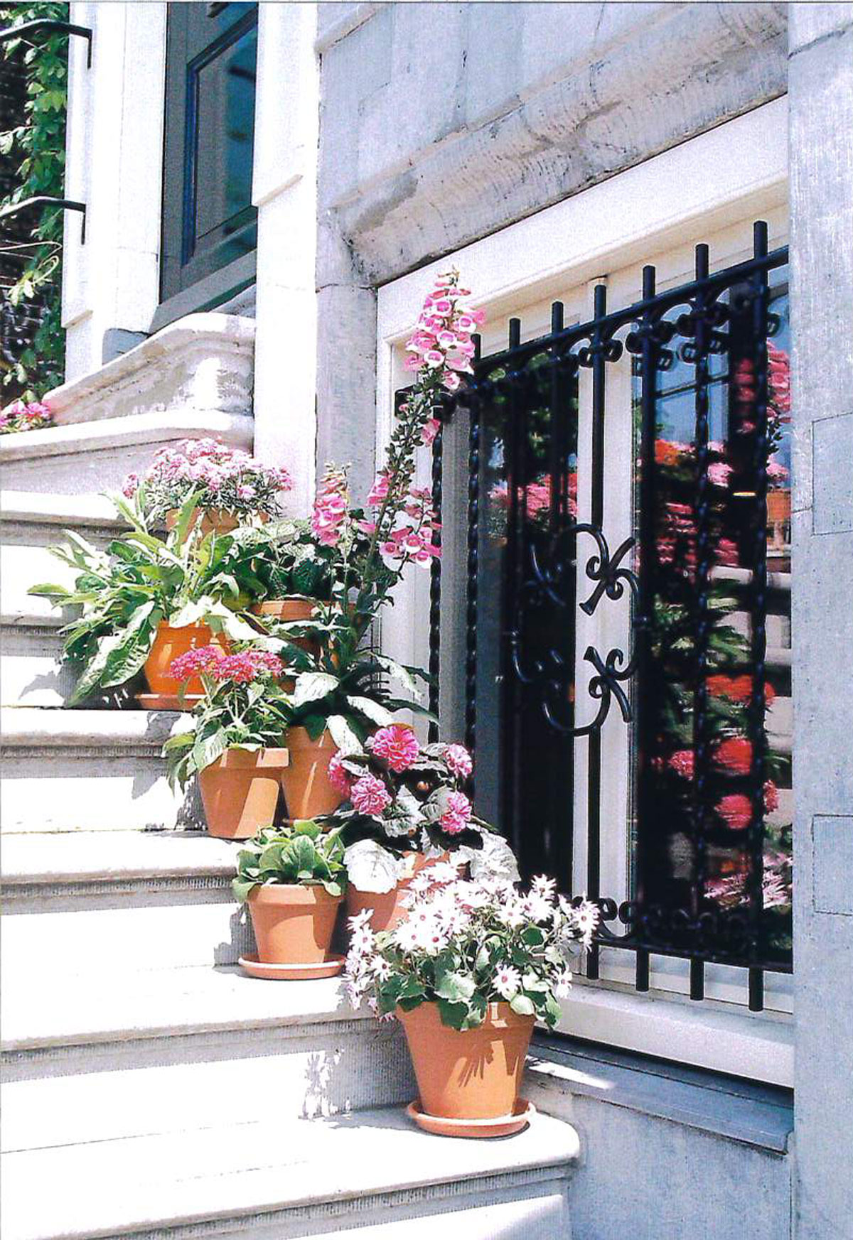 door-step-flowers.JPG
