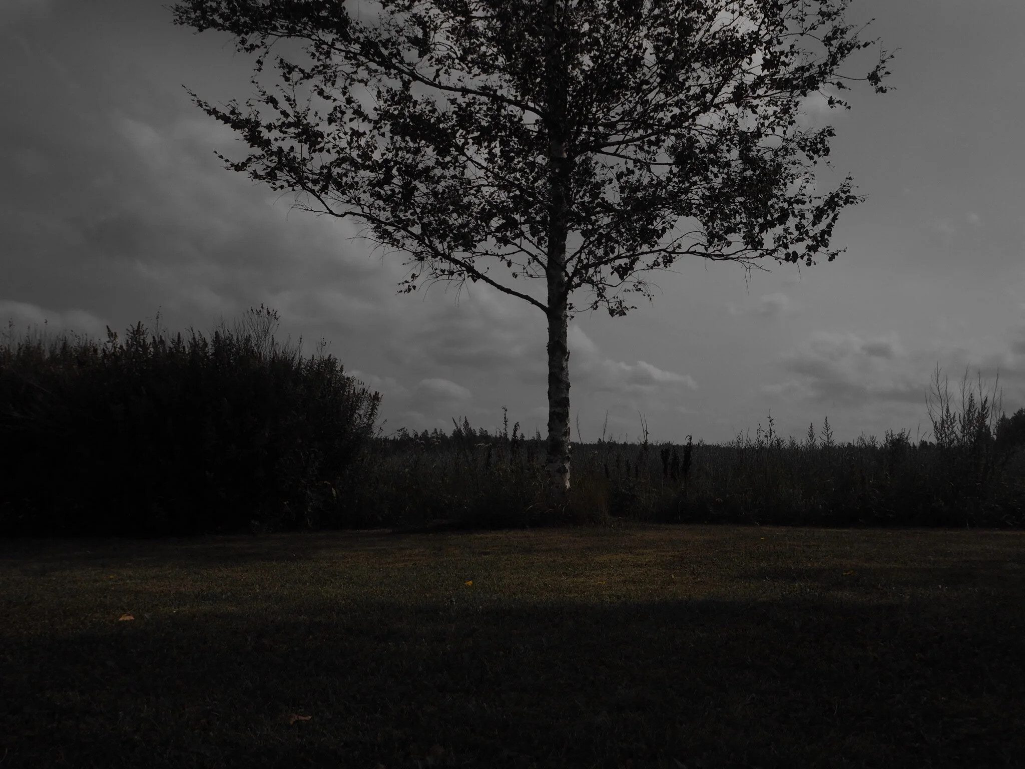 The dark comes every night but still serves to unsettle.