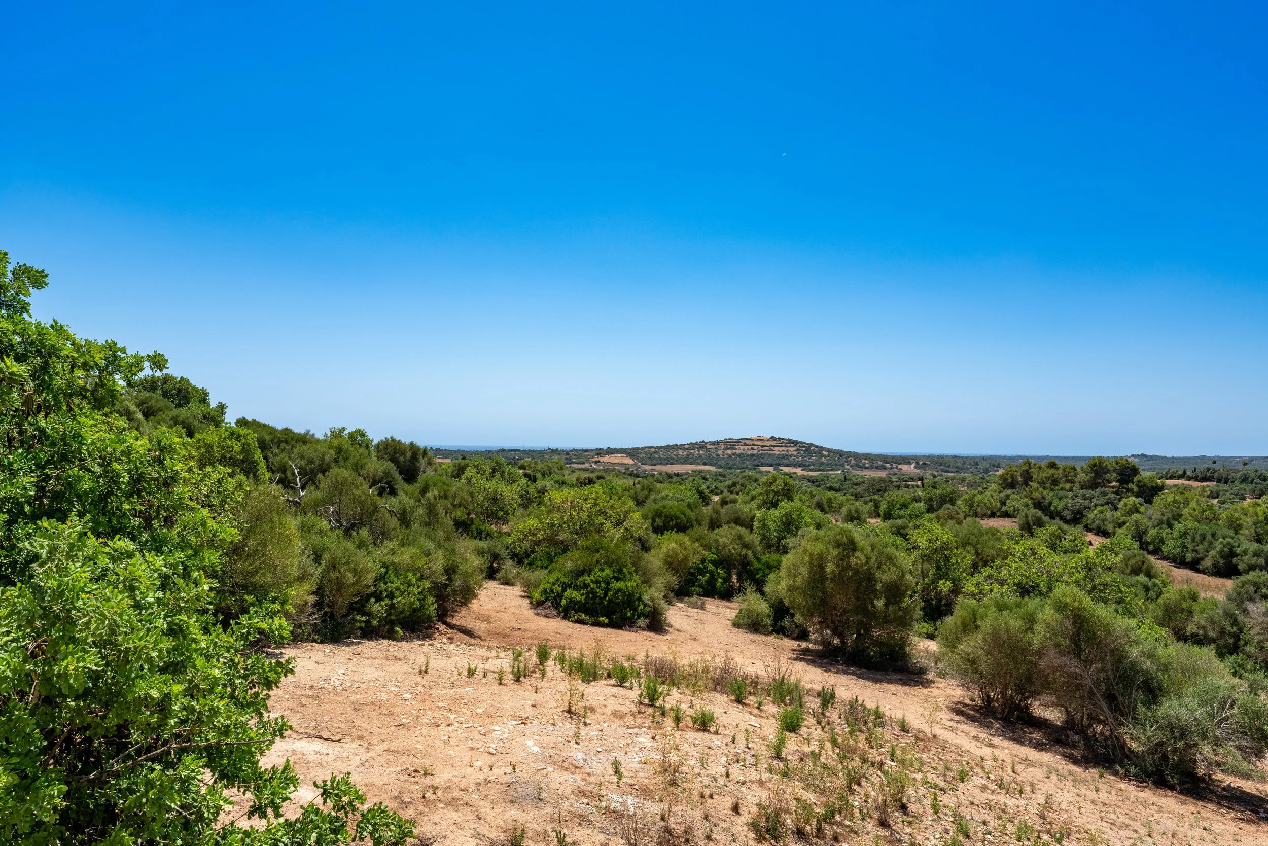 Balearfun 01 R. Alta 017.JPG