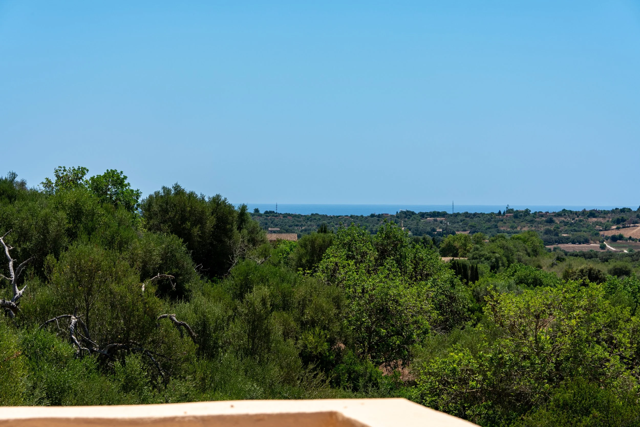 Balearfun 01 R. Alta 027.JPG