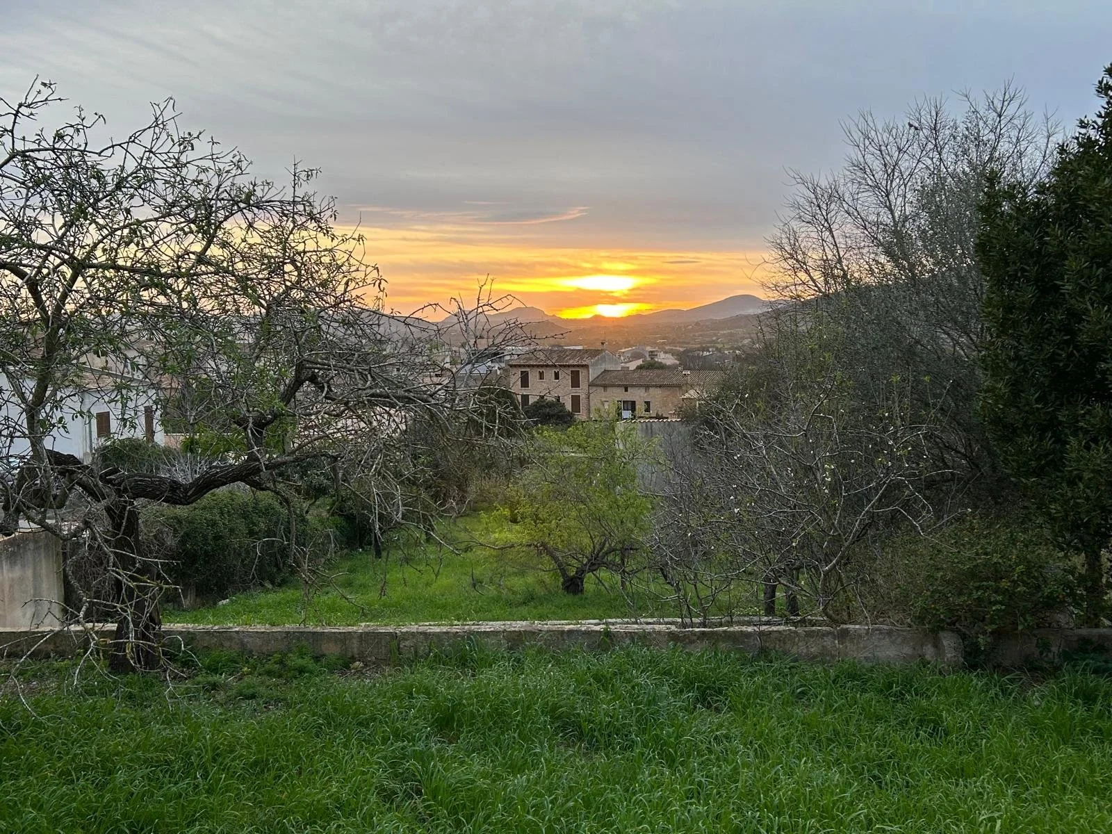 WhatsApp Image 2026-02-16 at 09.54.17 (4).jpeg