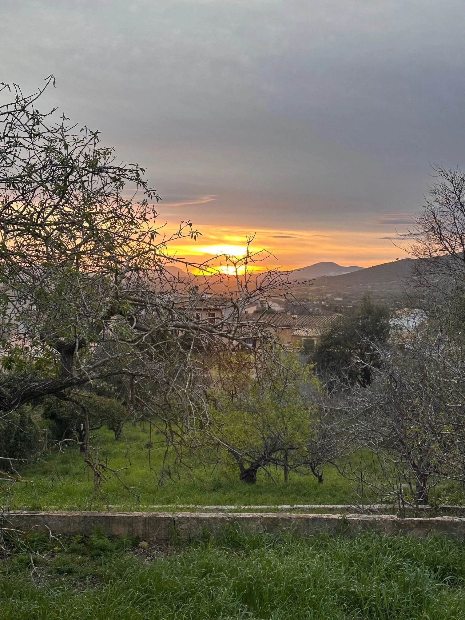 Solar urbano en Capdepera👉430.000€