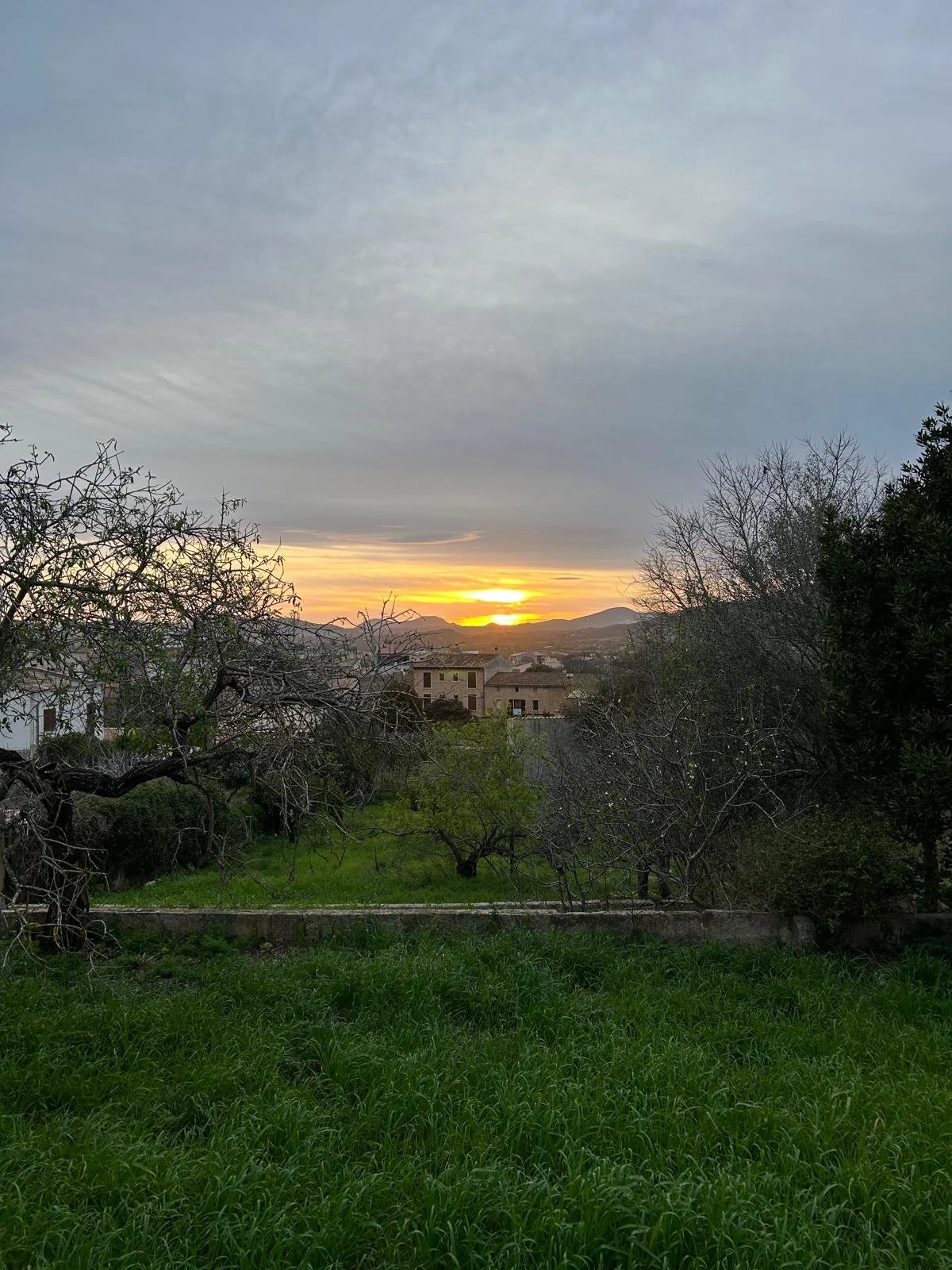 WhatsApp Image 2026-02-16 at 09.54.17 (3).jpeg