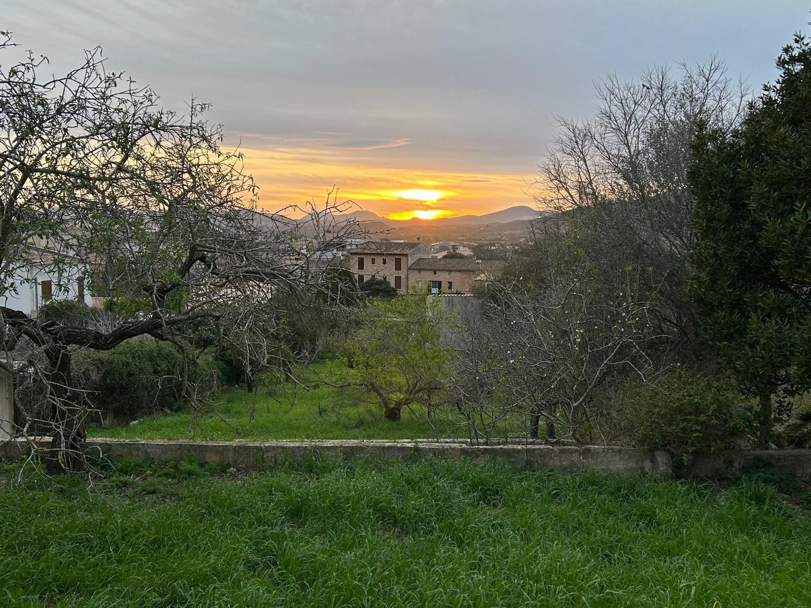 WhatsApp Image 2026-02-16 at 09.54.17 (5).jpeg