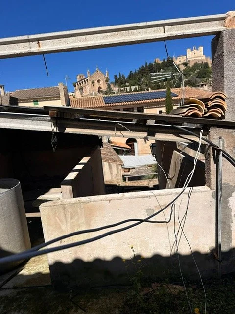 PHOTO-2026-03-25-10-16-54 (5).jpg