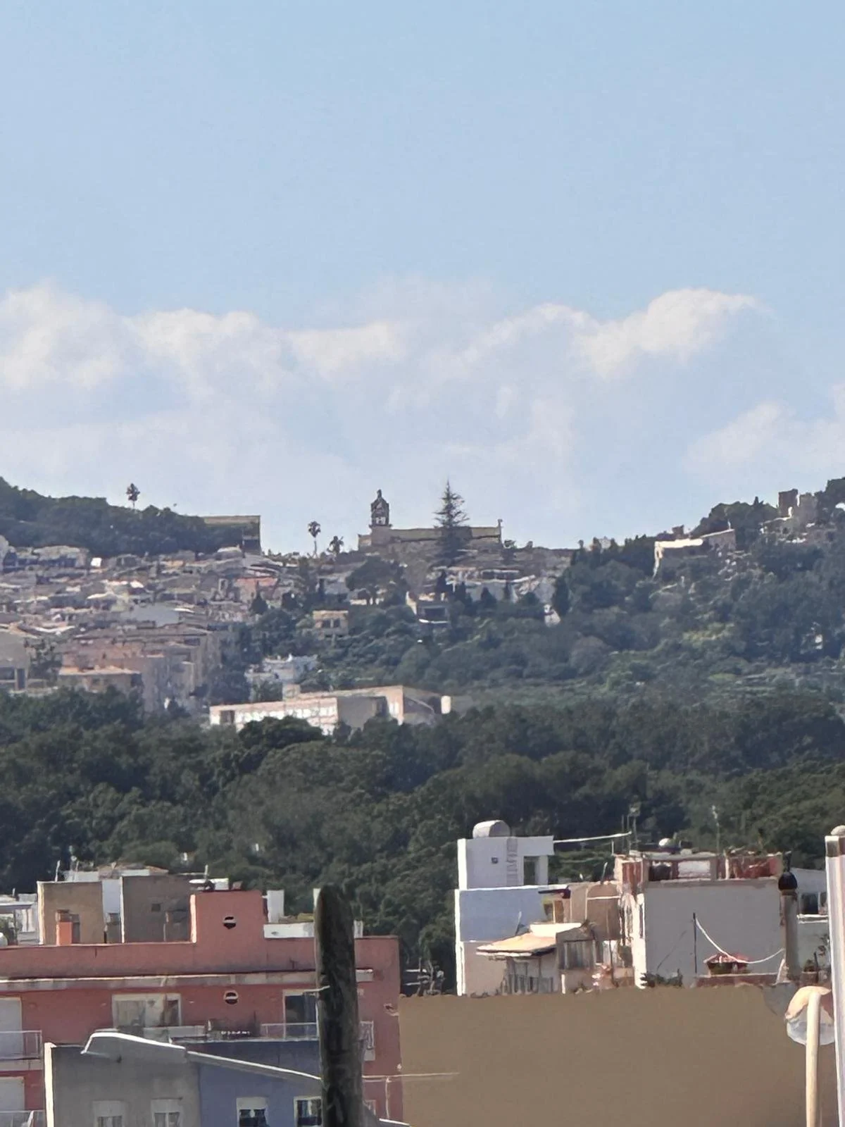 PHOTO-2026-03-24-13-21-13 (2).jpg