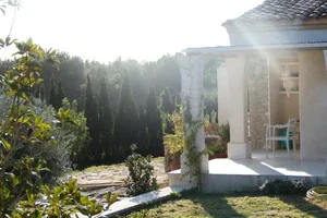 L1450307.webp