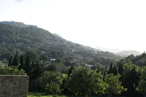 L1450309.webp