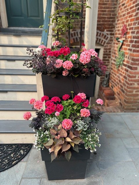 Custom garden containers for residential and businesses in Richmond Va by Sue Mondeau of Su Su's Petals