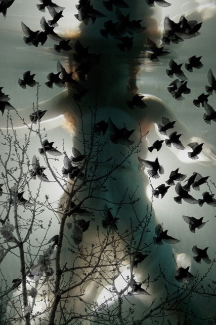 Fly and Float III