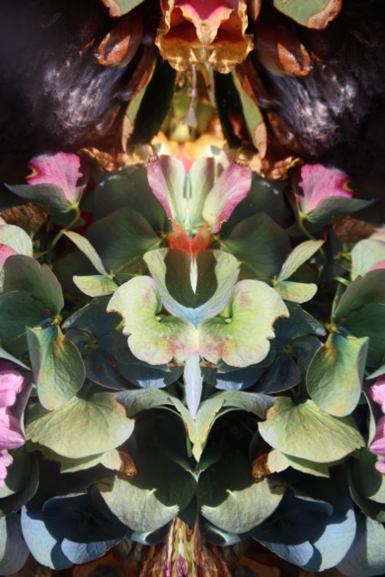 Submerged Garden 8510