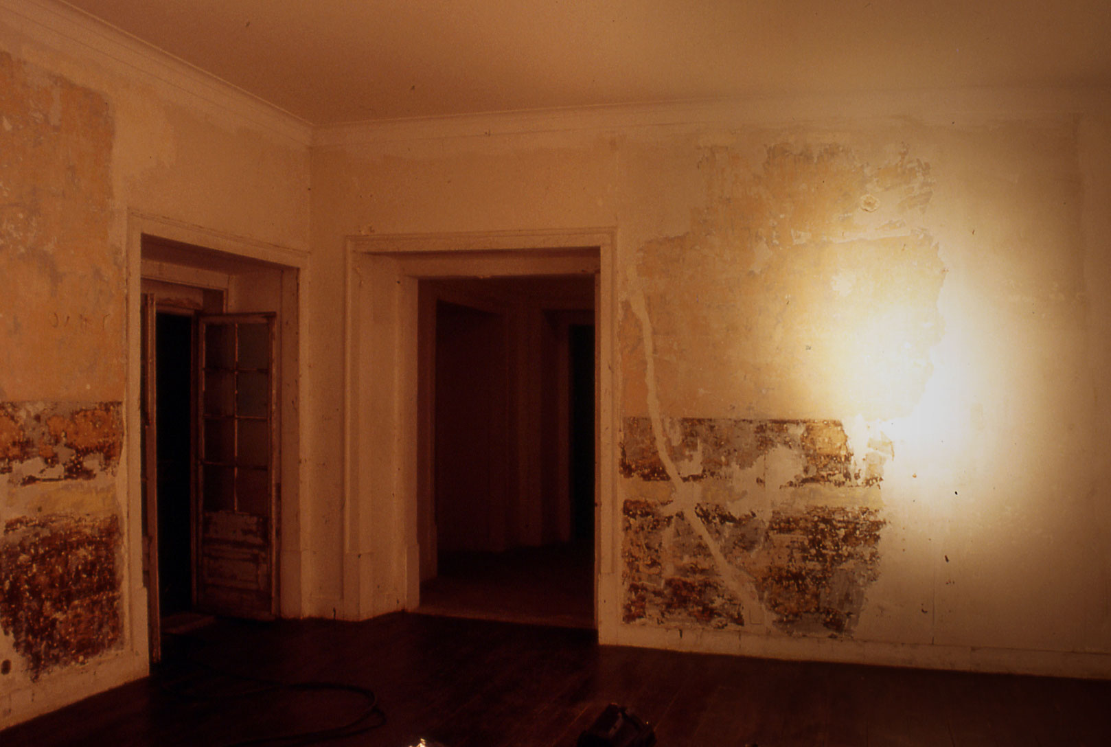 Landschaf.ZDB.2002-aa_v1.jpg