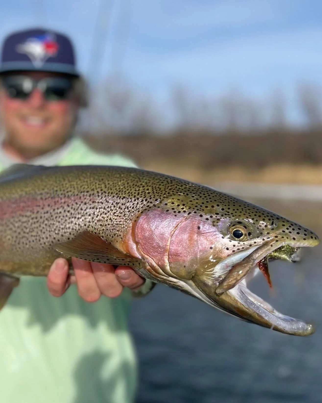Go Jays! ⚾️ #rainbowtrout #montana #flyfishing #beautifuldestinations #rainbowtrout #troutporn #flyfishinglife #vanillagorillaoutdoors #montanafishing #bigtrout #catchandrelease #troutfishing #flyfishingaddict #fishon #tightlines #troutbum #outdoorli