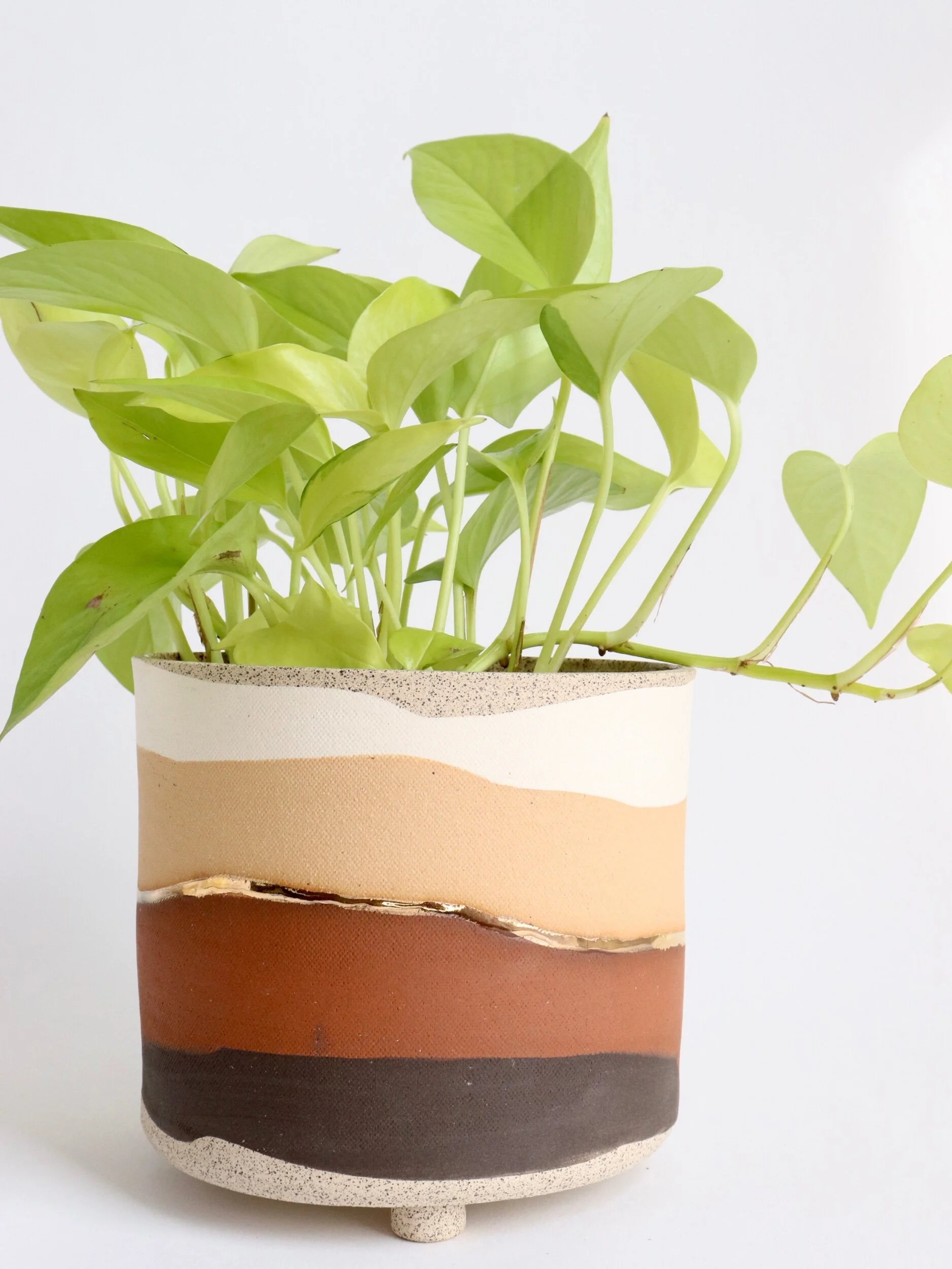 17FCC393-9E12-4C78-92CB-33A9805275D0