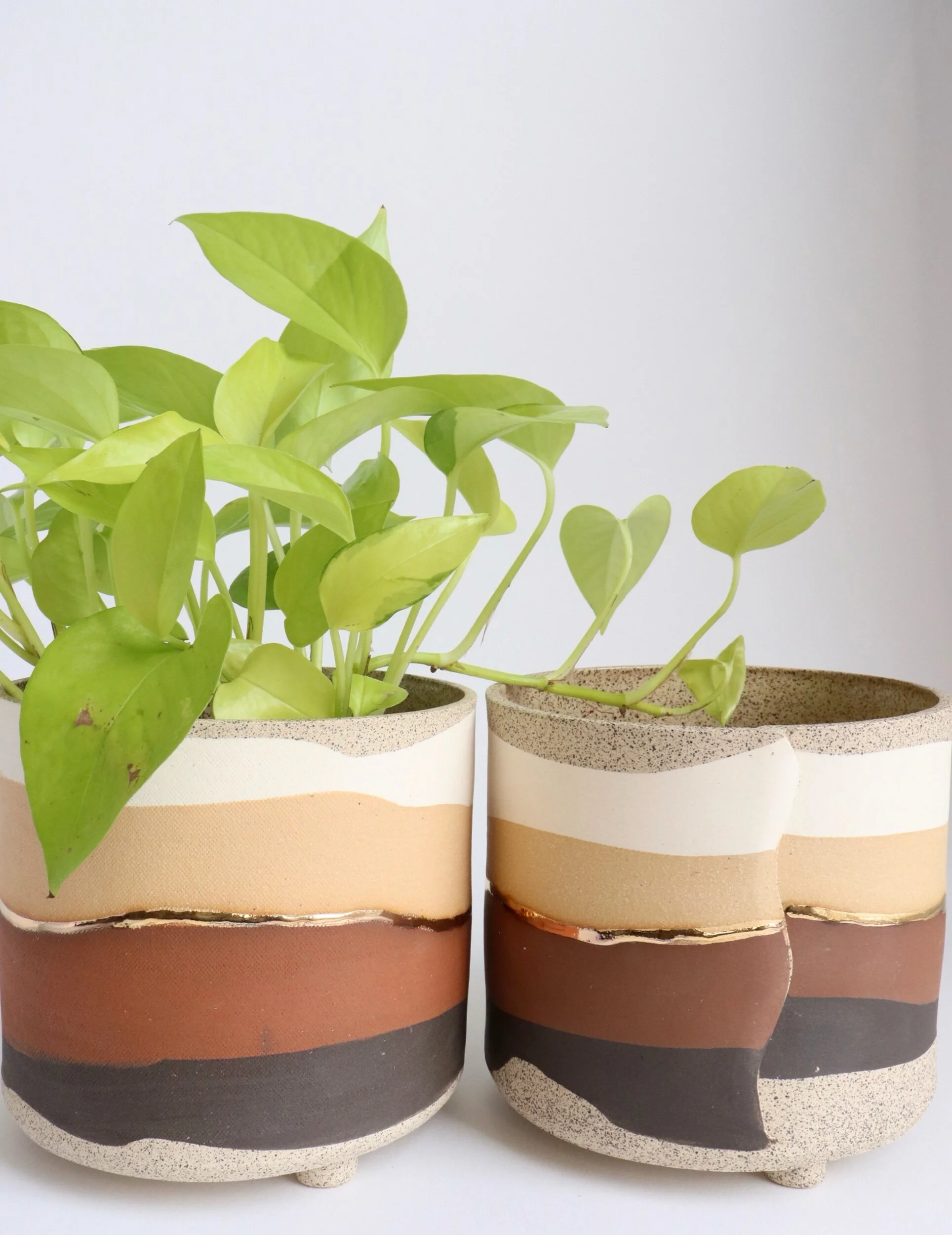 115ED24F-72E2-42F1-B09F-535097B1FE73