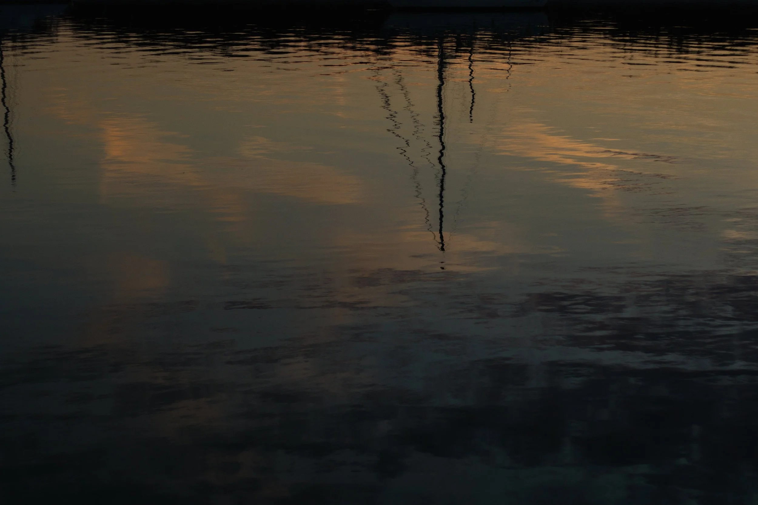 BRAIN FOOD : FALL/WINTER 2018