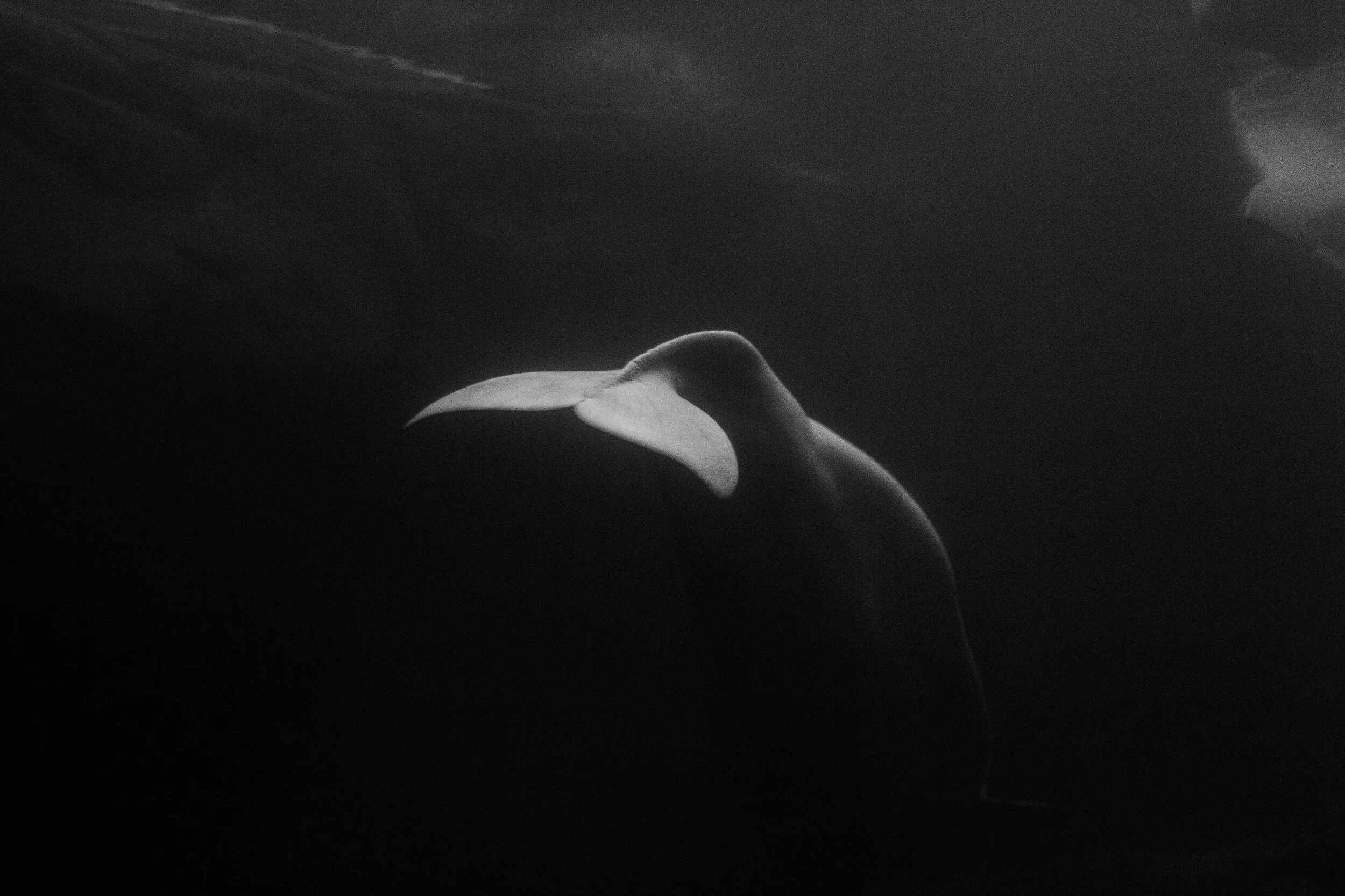 YEAR IN REVIEW: 2019