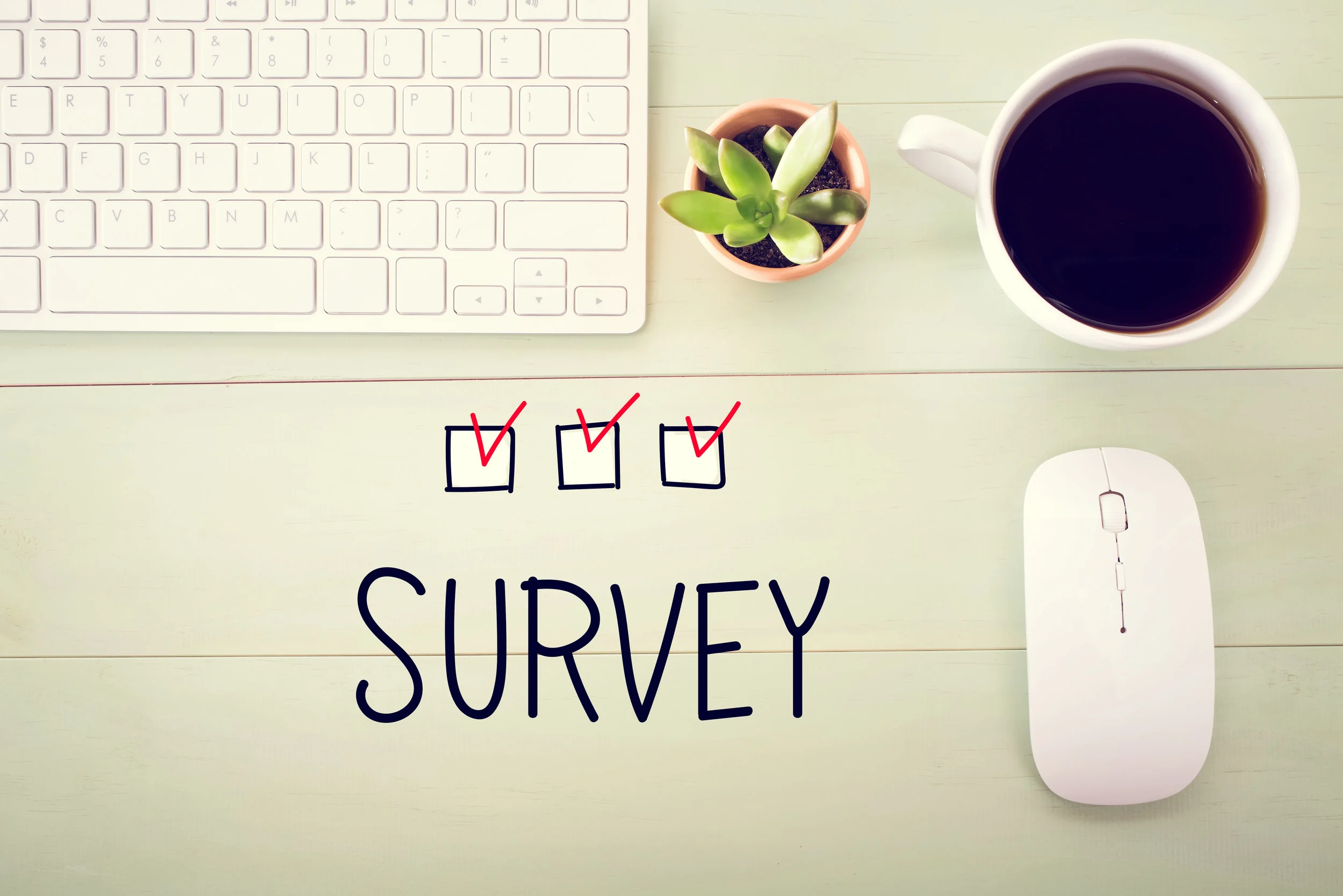 Survey concept with workstation