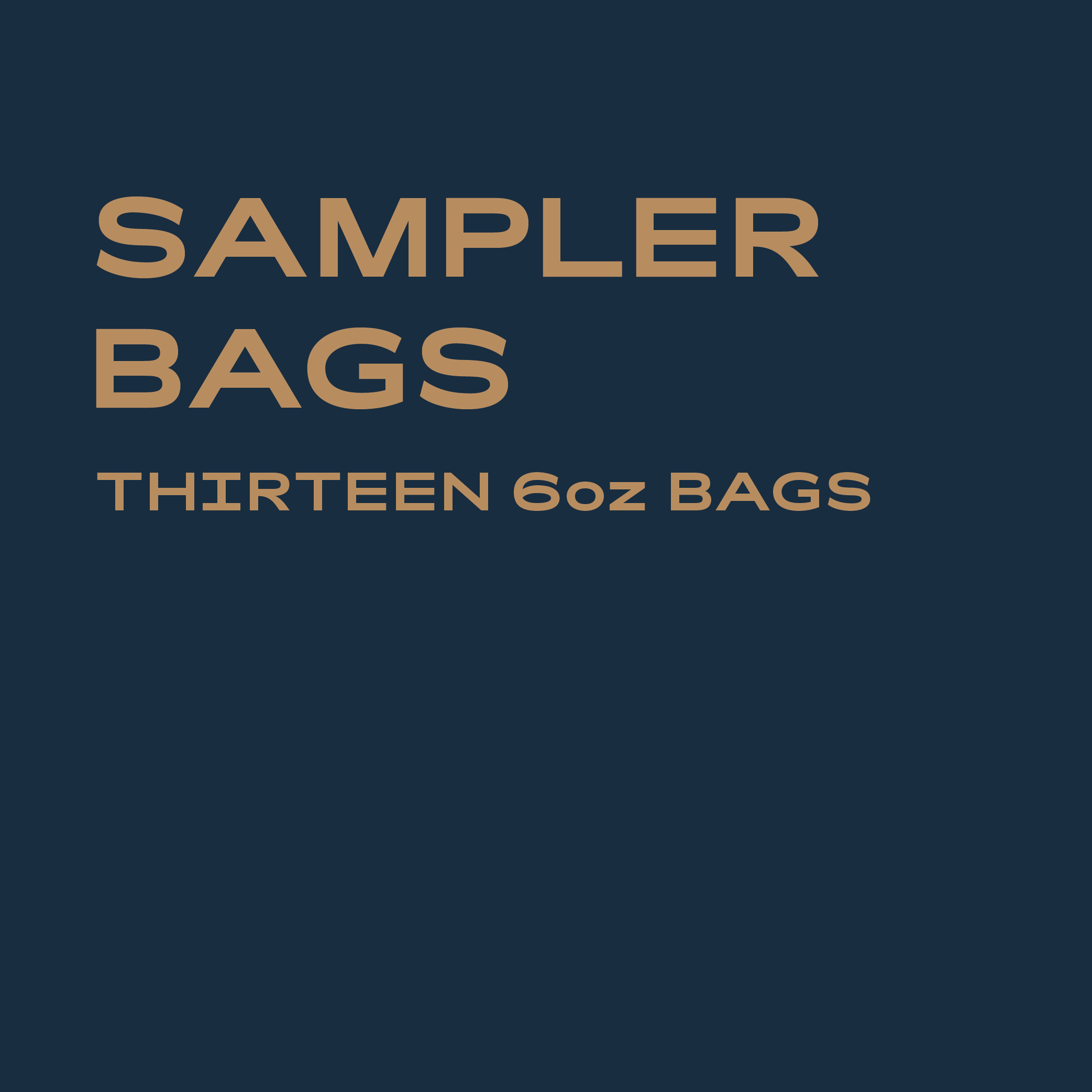 Penstock_SamplerBags4.png