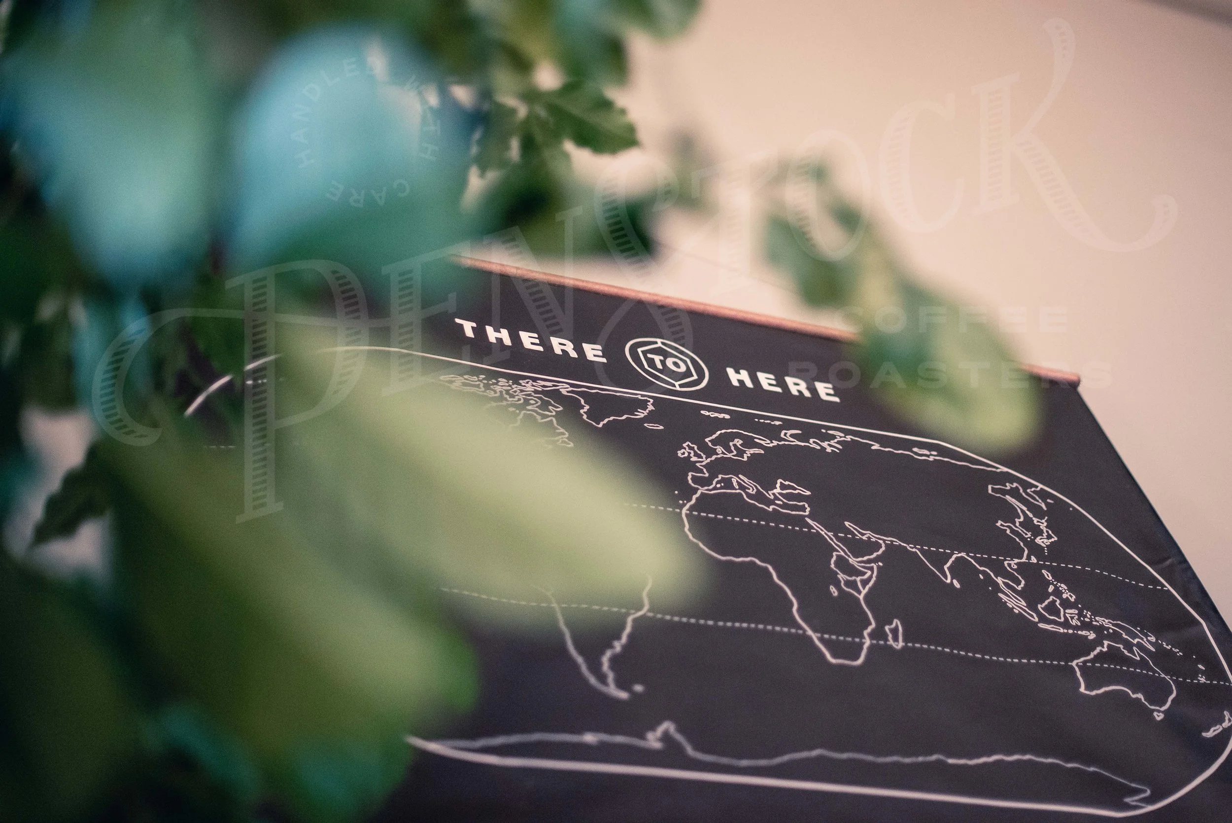 there-to-here_coffee-plant-map-for-web.jpg