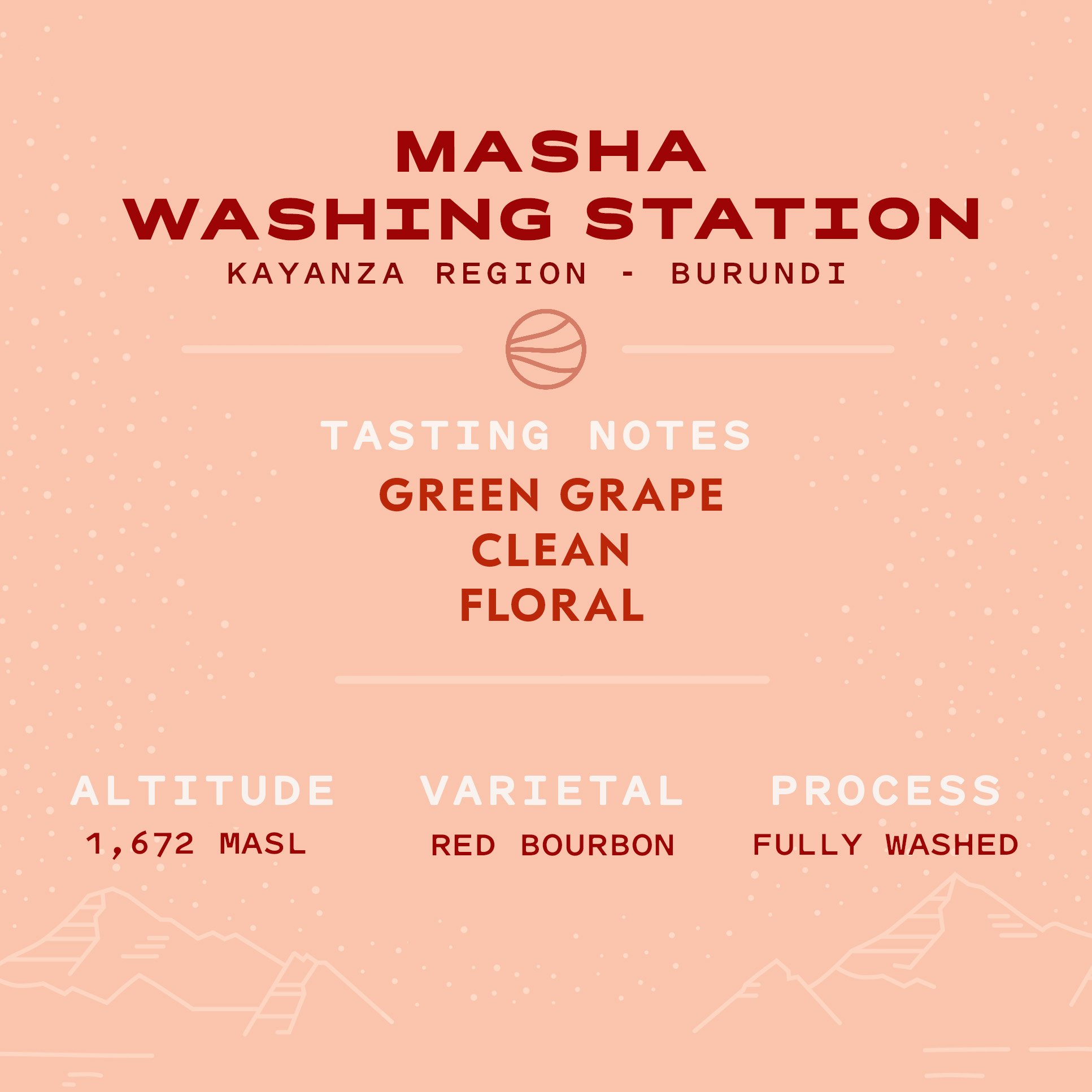 Masha Washing Station