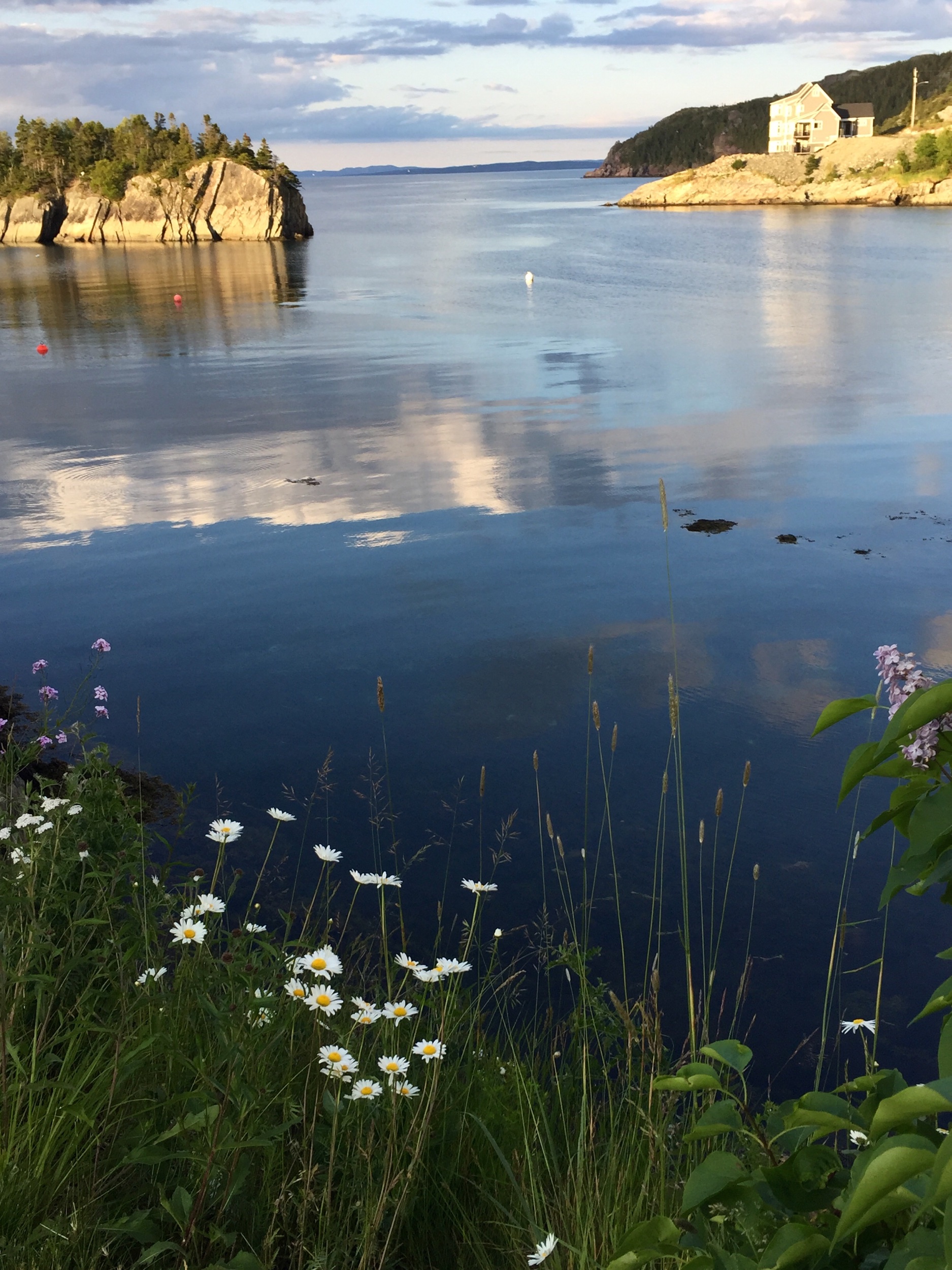IMG_3771.jpeg