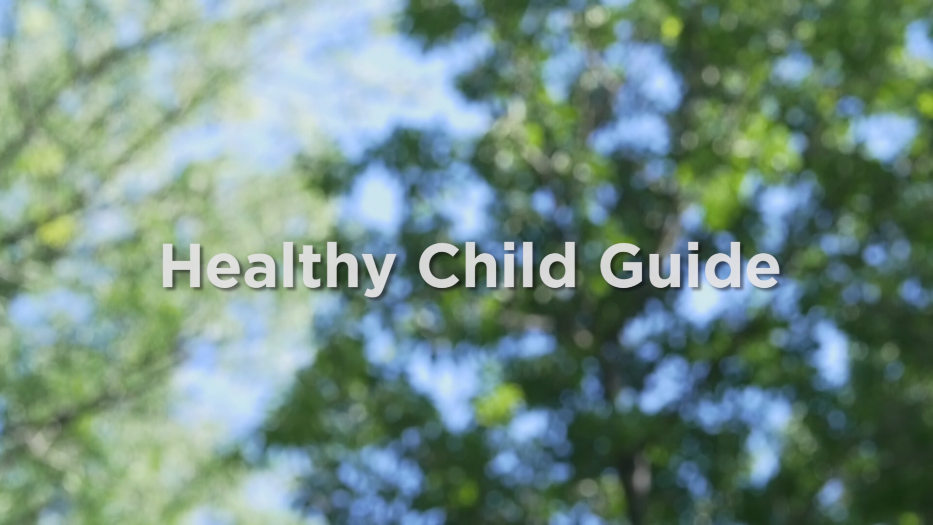 NHFguide.png