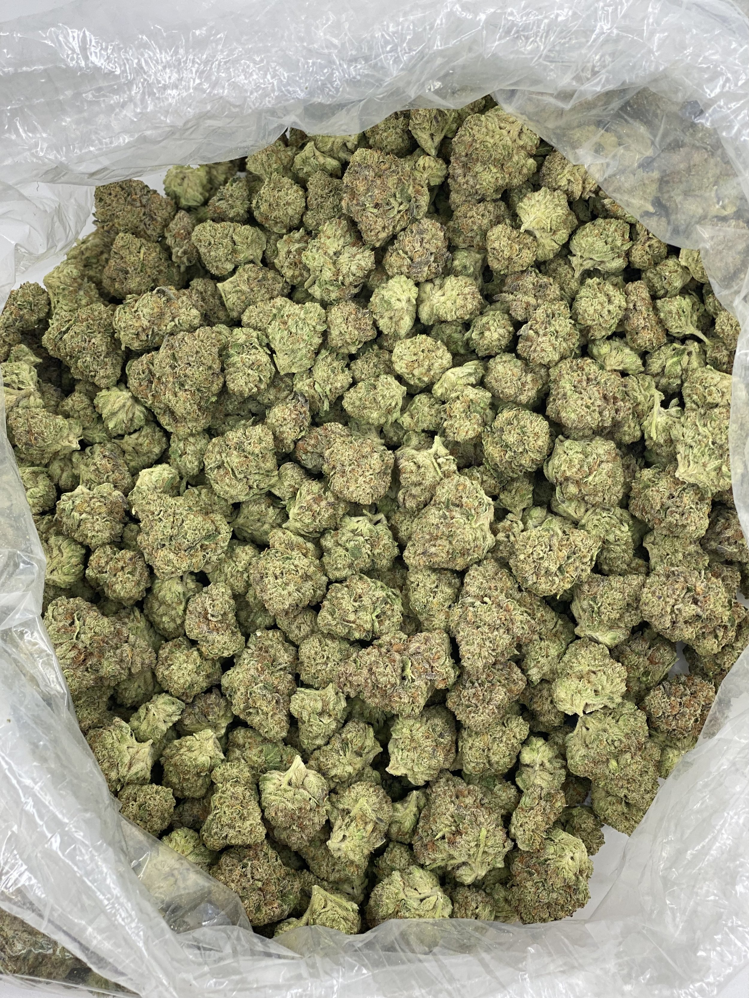CBD Hemp Flower.jpg