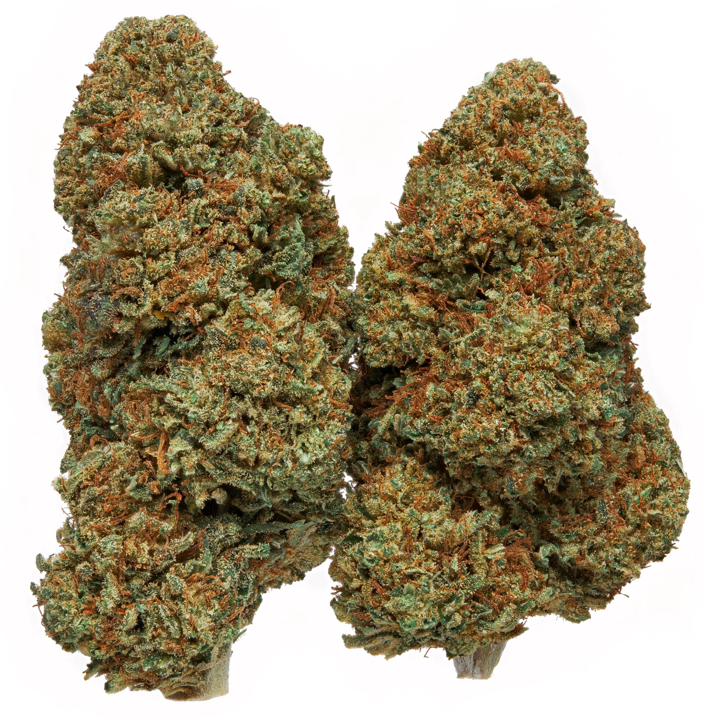 Hemp Worldwide - Crunch Berry.jpg