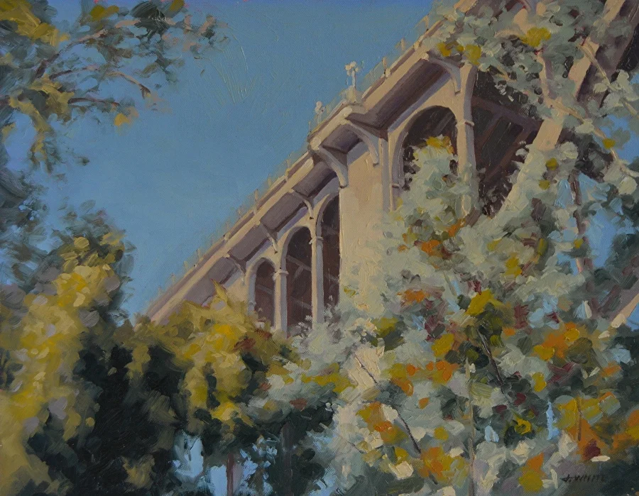 Colorado Bridge View