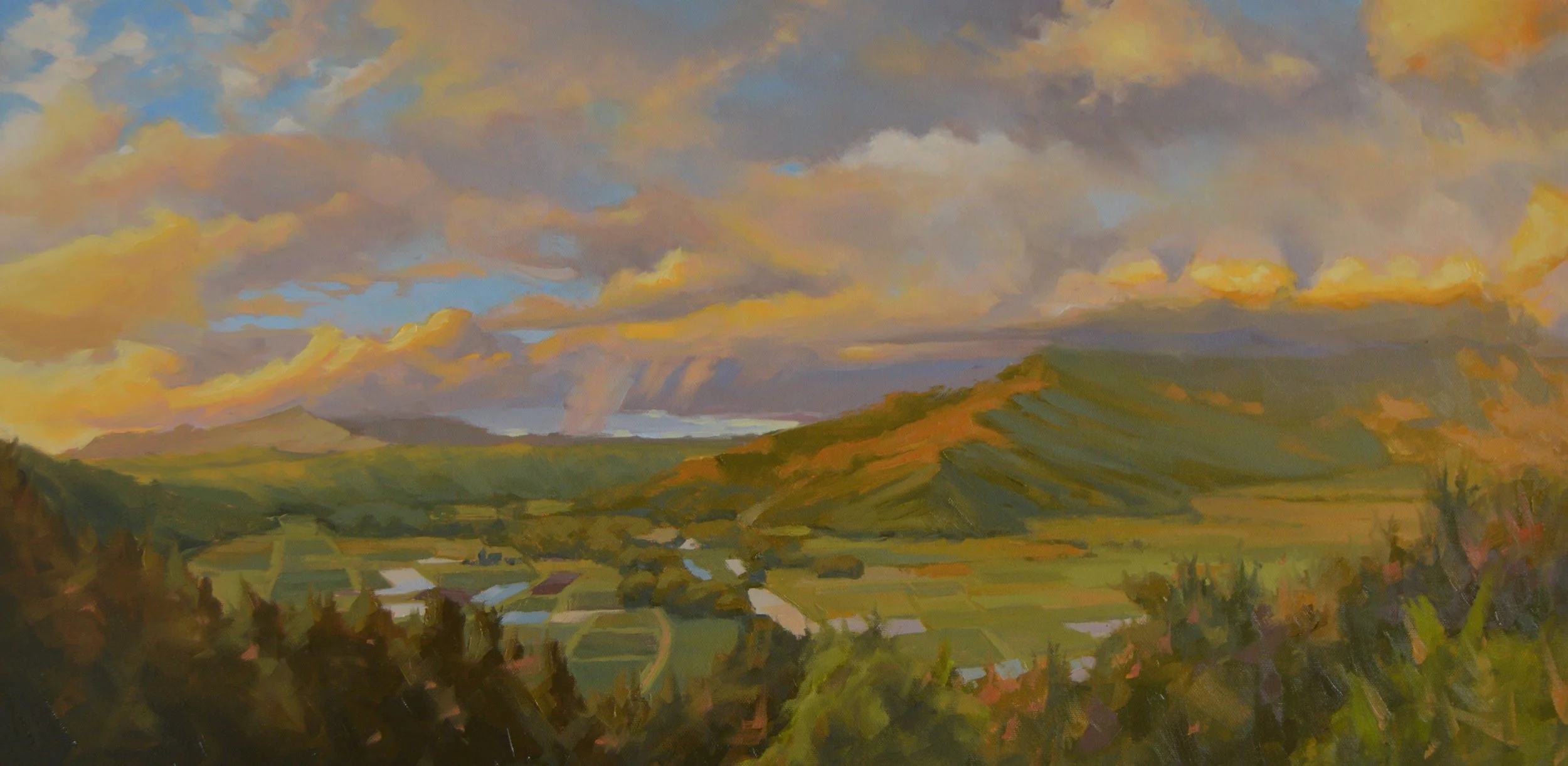 Hanalei Valley Lookout.JPG