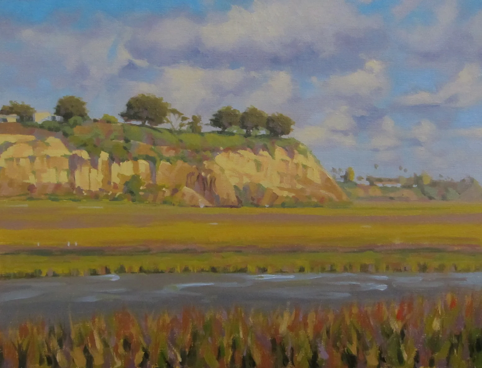 The Cliffs are Alive