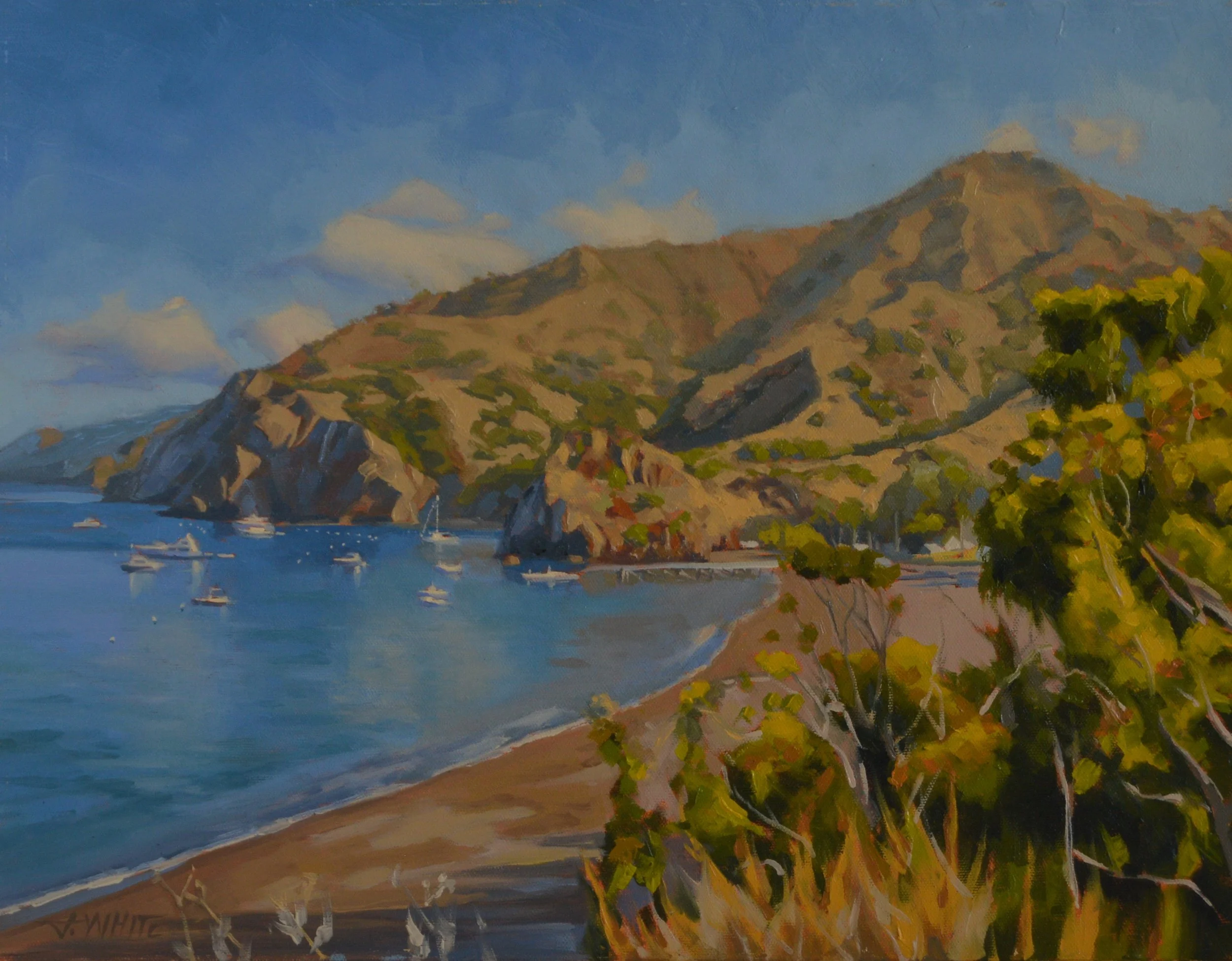 West Coast, Two Harbors, Catalina Island