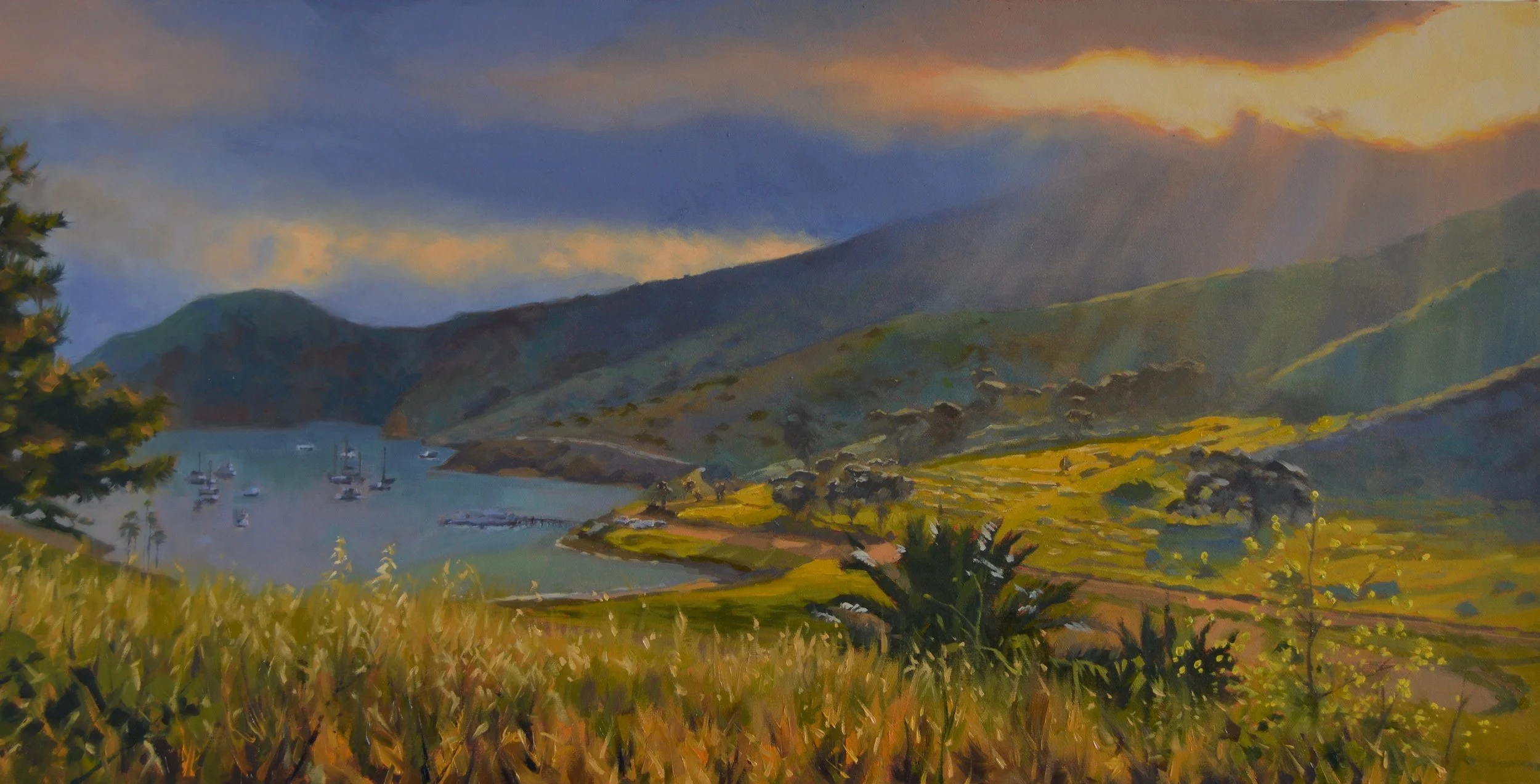 Sun Drenched Cat Harbor.JPG